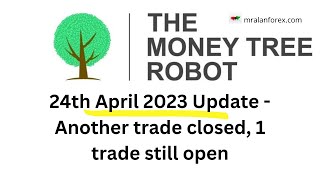 MoneyTree Trading Robot - Update on our Live Trading Account - 24th April 2023