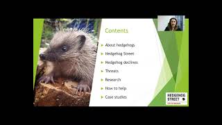 Community Conservation in Action Hedgehog Street - Grace Johnson talk at TWIC Spring Conference 2021