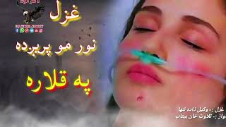 نور مي پریږده په قلاره خداي دي ورک کا||pashto new 2024Poetry||Ver!||New shairi||Sad ghazalSad pashto