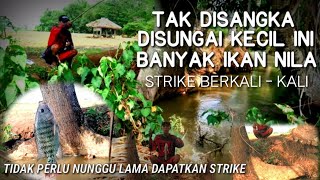 Belajar Mancing Strike Nila Berkali - kali