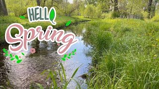 HELLO SPRING! Very Relaxing Sound of Nature