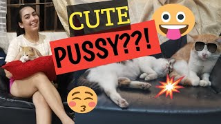 Cat Lover Best friend | Jhun Martin VLOGS