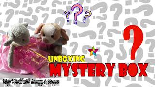 Unboxing a Mystery Box | Miniature Kitchen | TinyworldLP