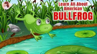 Learn all about American Bullfrogs