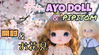 AYODOLLとPIPITOM開封＆紹介！お花見も🌸