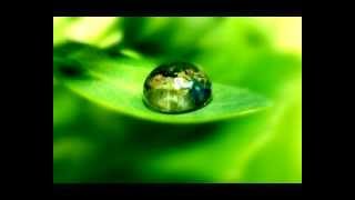 SUN IN THE DEWDROP (СОЛНЦЕ В КАПЛЕ РОСЫ) - quenacho, Vladimir Khrobystov - Zen