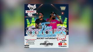 LITCHIE SOUNDS LIVE AT BIGGERS PLACE (TRUE COLOURS PROMO) 2023