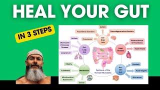 Heal Your Gut In 3 Steps: The Functional Method