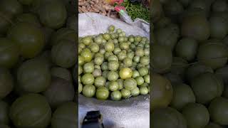 Model Bazar Sabzazar Lahore #Youtude Freshvegetables #Nature #Harvesting #Sabzazar