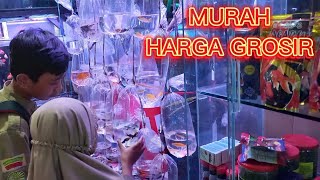 Pasar ikan hias gunungsari Surabaya