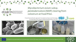 MAP clearing from colostrum