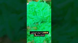 شوفو مريم من تسوي تمن 😂😂💚💚