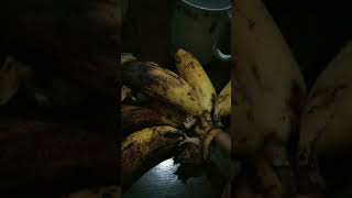 moving banana watch till the end#trending #trendingshorts