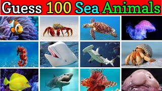 Guess 100 Sea Animals in 3 Seconds 🐬🦑 | Easy To Impossible Sea Animals