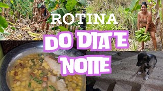 ROTINA DA MANHÃ E ROTINA DA NOITE COM MEUS PETS😊