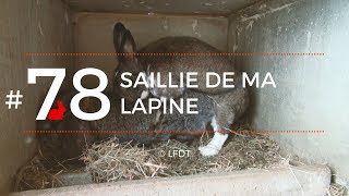 SAILLIE DE MA LAPINE │LFDT #78