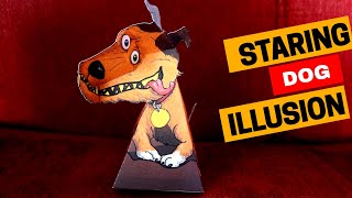 AMAZING😲 Staring Dog Illusion: Dog Moving Head/ DIY illusion for kids😊