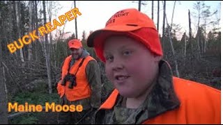 Maine MOOSE Hunt in Zone 3