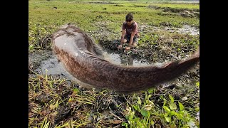 Village fisherman best hand big fish catching.The fisherman is best fishing