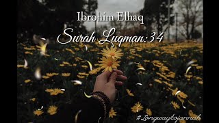 Ibrohim Elhaq|Surah Luqman:34| Murotal Singkat