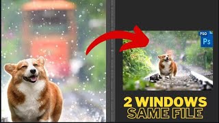 How to Edit 1 Document in 2 Windows [ Photoshop Tutorial ]