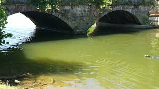 C&O Canal Potomac River at Pennyfield and Aqueduct at Riley's Locks