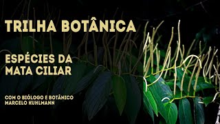 Trilha Botânica - Espécies da Mata Ciliar