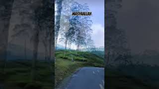 murotal merdu dan pemandangan alam #voiceeffects #hijab #cover #masukberanda #vlogperjalanan