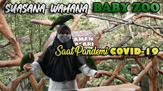 SUASANA BABY ZOO TAMAN SAFARI INDONESIA OKTOBER 2020