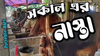 গরুর বর্তমান দানাদার খাবার || Purbasha Agro