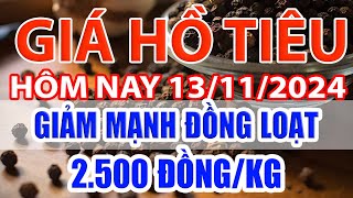 Giá tiêu hôm nay 13/11/2024: Giảm mạnh đồng loạt 2.000/kg