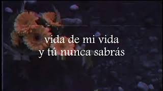 Mi Secreto - Los Temerarios (Letra)