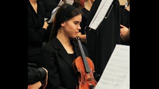 Всё для Тебя Высшим разумом создано (соло скрипка)🎻 #мсцехб #христианская_музыка #христианство