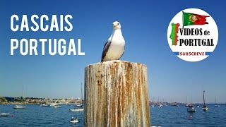 Cascais, Portugal - Baía de Cascais - Videos Portugal