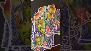 Texas Wildflower stickers are here!!!