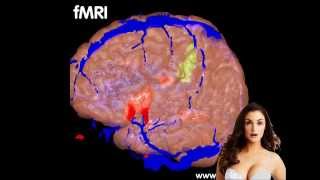 Reading Your Mind - Brain Decoder Machine Actually Built! | Science News