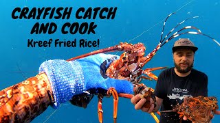 CRAYFISH catch and cook | South Africa | Kreef fried rice