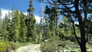 Gold Lake, Plumas National Forest in a 2005 Jeep TJ rubicon