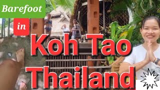 Barefoot filipina in Thailand Koh Tao / Barefoot Restaurants /Barefoot friendly area