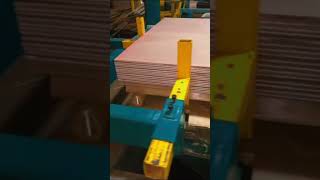 auto double sizer plywood