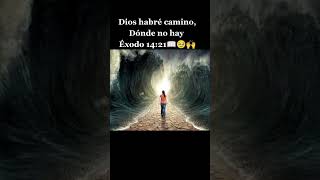 Dios habré caminos