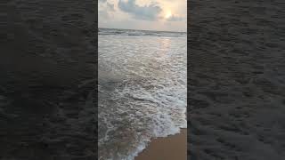 kerala kannur #cute #video #viral #wolrd #kerala #postar