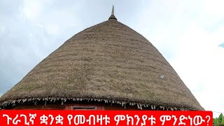 የጉራጌ ቋንቋ መብዛት ያመጣው   ተፅኖ  ምንድነው?  #ethiopian #ebs #gurage