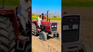 Messay Farguson 385 Dangerous Stunt Heavy Loaded Trolley //Tractor Info