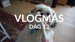 VLOGMAS 12. DECEMBER II Ondt i halsen II Nathalie Løkkebø Jakobsen