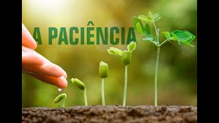 PACIÊNCIA: POR QUE TER PRESSA?