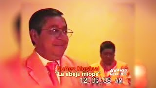 La Abeja Miope - Nuñez Musical (En Vivo 2005)