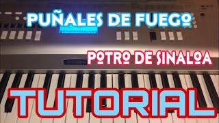 Puñales de Fuego - Potro de Sinaloa (Melodia Tutorial en Teclado)