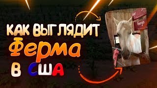 Как выглядит Американская ферма!