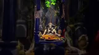 #Ganpati_Bappa #Chaturthi #Ganeshji #Video #Status #New #Viral #Trending #Short #Reel #Yt #Insta